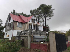 Valdi Guest Shekvetili